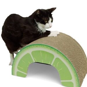 Lime Cardboard Cat Scratcher Arched Scratching Post